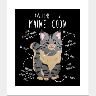 Maine Coon Cat Anatomy Posters and Art